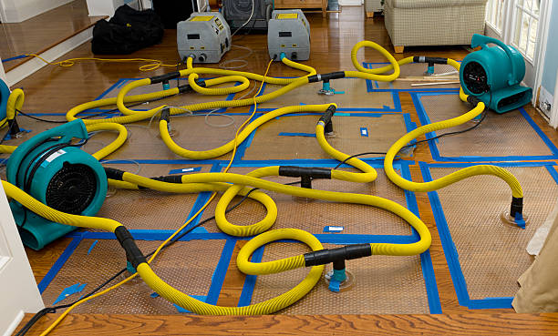 Professional Flood Damage Restoration technician working in Burkettsville, OH
