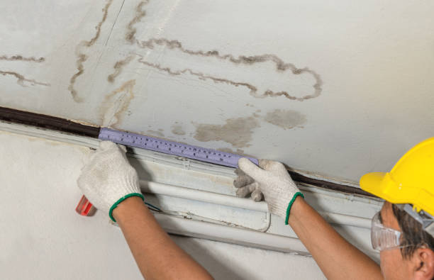 Affordable Water Damage Repair solutions in Burkettsville, OH